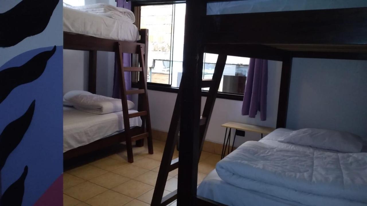 Supertramp Hostel Machupicchu מראה חיצוני תמונה